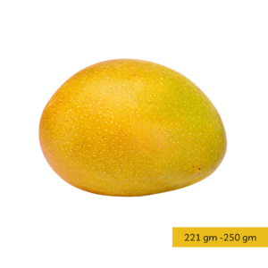 Desi Delight Haapus B (1 Dozen)