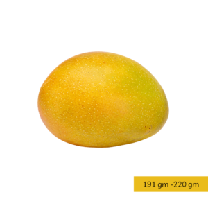 Desi Delight Haapus C (1 Dozen)