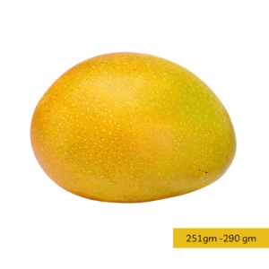 Desi Delight Haapus A (1 Dozen)