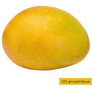 Desi Delight Haapus SSJ (1 Dozen)